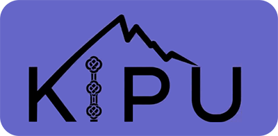 KIPU INTERNATIONAL LLC